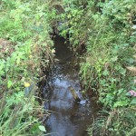 再び鶴見川の源流を訪ねる(2)源流の雰囲気を手軽に味わうなら小山田緑地がおすすめ