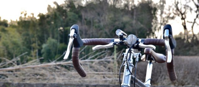 Read more about the article 趣味と実益の両輪