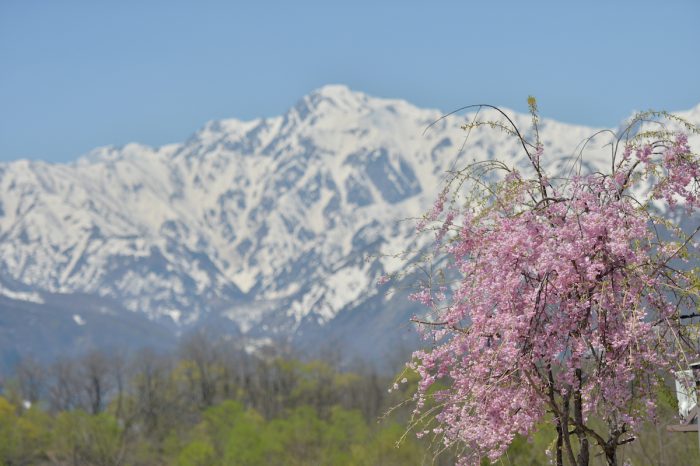 春の白馬連峰 – CyclingEX CLASSIC