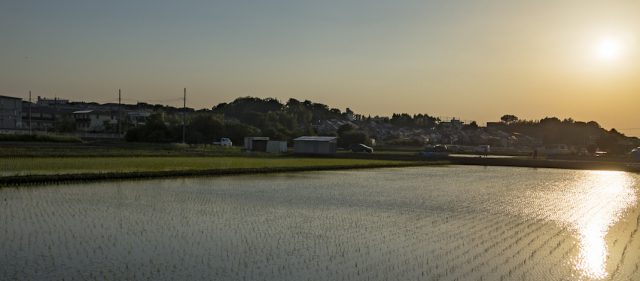 Read more about the article 谷戸は田植えの季節