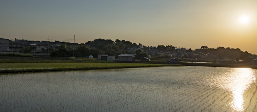 Read more about the article 谷戸は田植えの季節