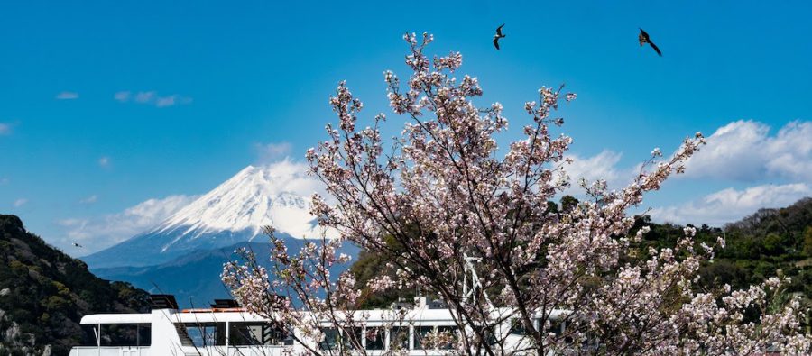 Read more about the article 海の向こうに浮かぶ富士山 — 沼津・三津浦エリアを自転車で巡る