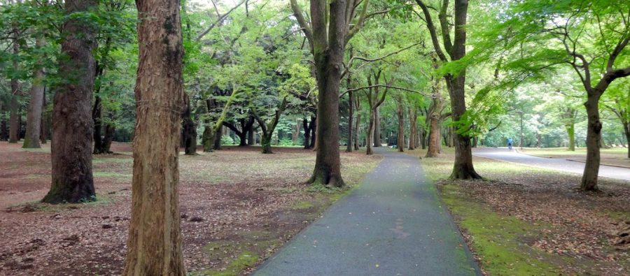 Read more about the article BRI-CHAN：家族で楽しめる公園のサイクリングコースを活用しよう