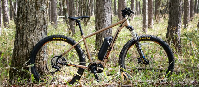 Read more about the article NESTOブランド初のE-MTB「X-VALLEY E6180」